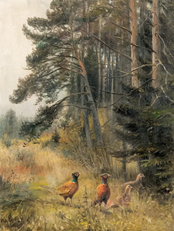 Willy Lorenz, BAŻANTY NA SKRAJU LASU