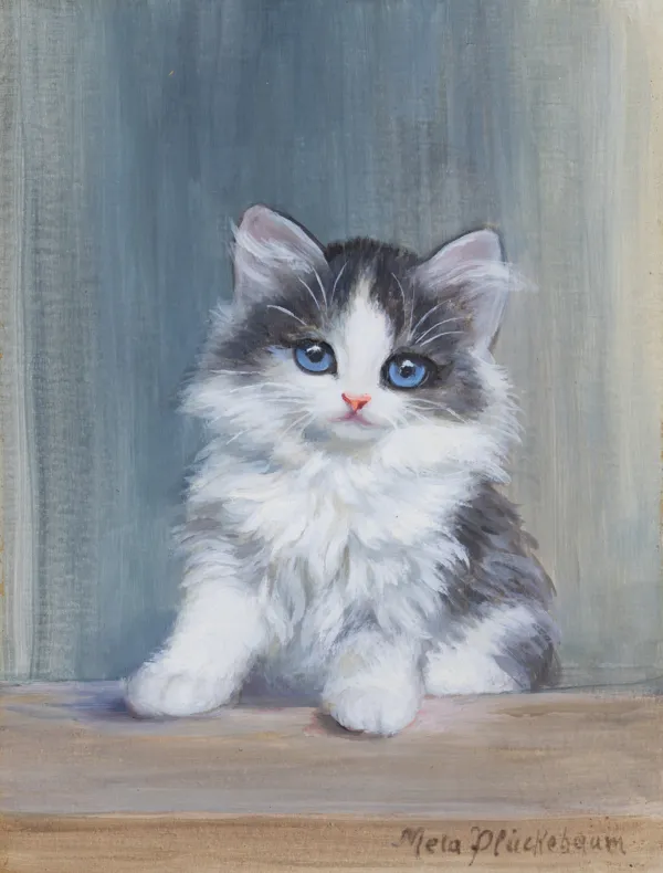 Meta  Plückebaum, KOTEK