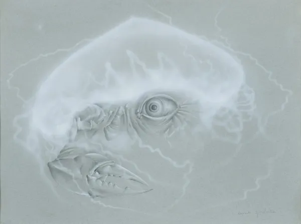 Wojciech  Gwizdała, BEZ TYTUŁU