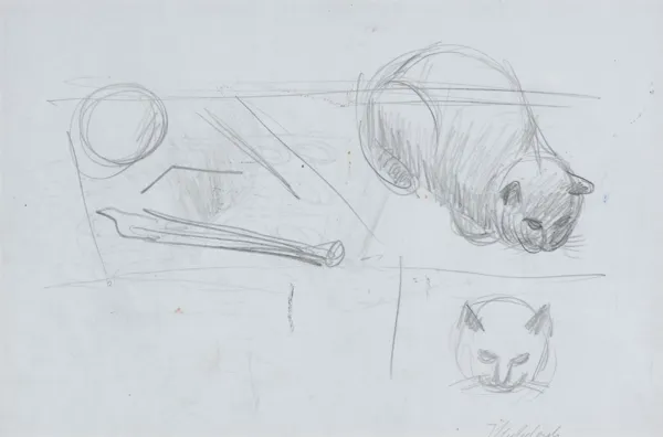 Jarosław Modzelewski, SZKIC DO OBRAZU „MARTWA NATURA Z KOTEM”, 2002