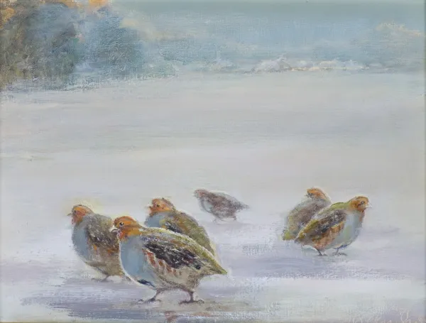 Daniel Pielucha, KUROPATWY