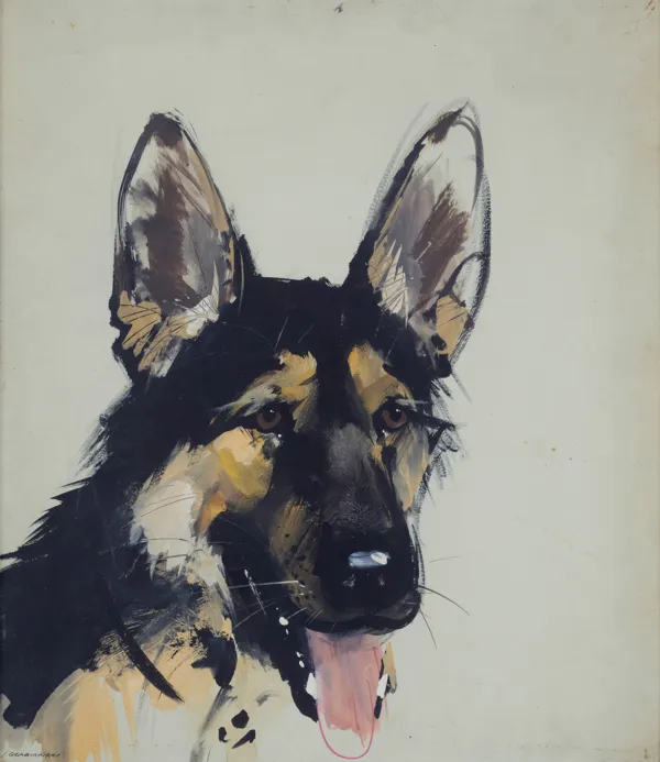 Janusz Grabiański, OWCZAREK NIEMIECKI