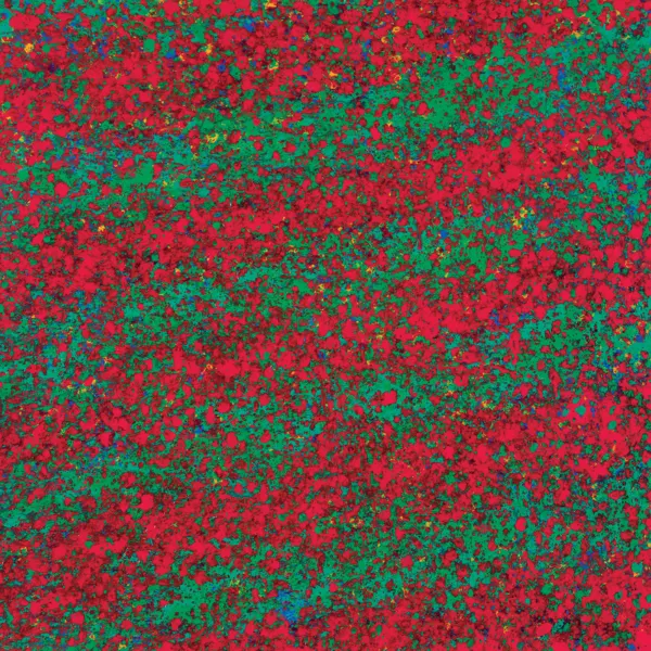 Leon Tarasewicz, BEZ TYTUŁU, 2020