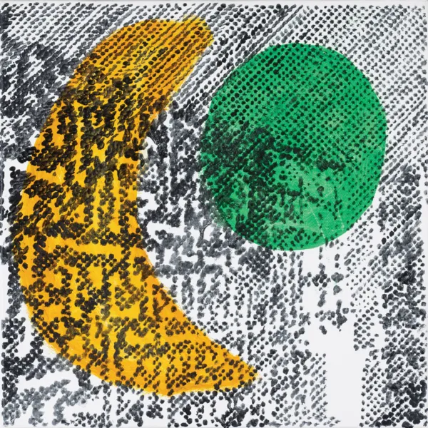 Piotr Młodożeniec, FUNKY, 2011