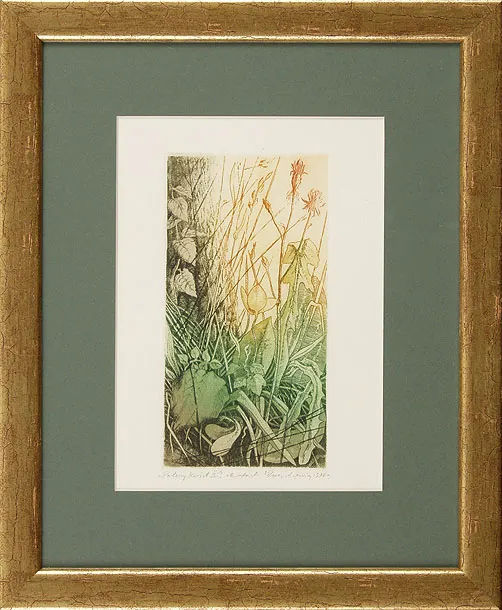 Adam  Kwaśny, Polny kwiat II, 1996