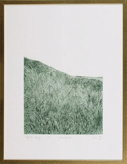 Tadeusz Michał Siara, Wysokie trawy, 1976