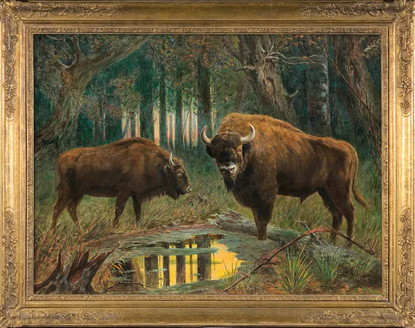 Ermenegildo Carlo Giovanni Donadini, ŻUBRY, ok. 1926