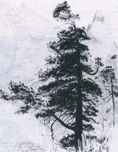 Leon Wyczółkowski, Limba na tle Mnicha