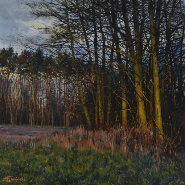 Dariusz Choiński, Chwila warta czekania, 2020