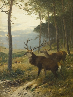 Johann Christian Kröner, JELEŃ I ŁANIA, 1888