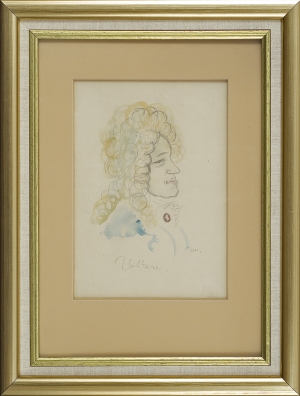 Zygmunt Waliszewski, VOLTAIRE - KARYKATURA