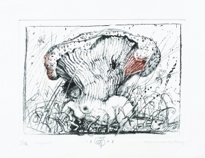 Franciszek Starowieyski, GRZYBOIDA, 2003