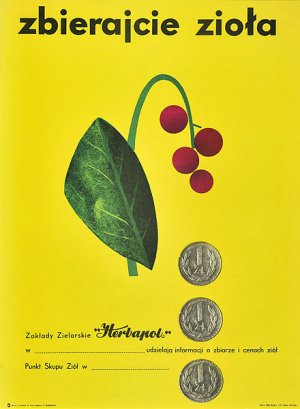 Zbigniew  Waszewski , ZBIERAJCIE ZIOłA, OK. 1960