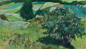 Stanisław Czajkowski, KRZEW RÓŻY, 1910
