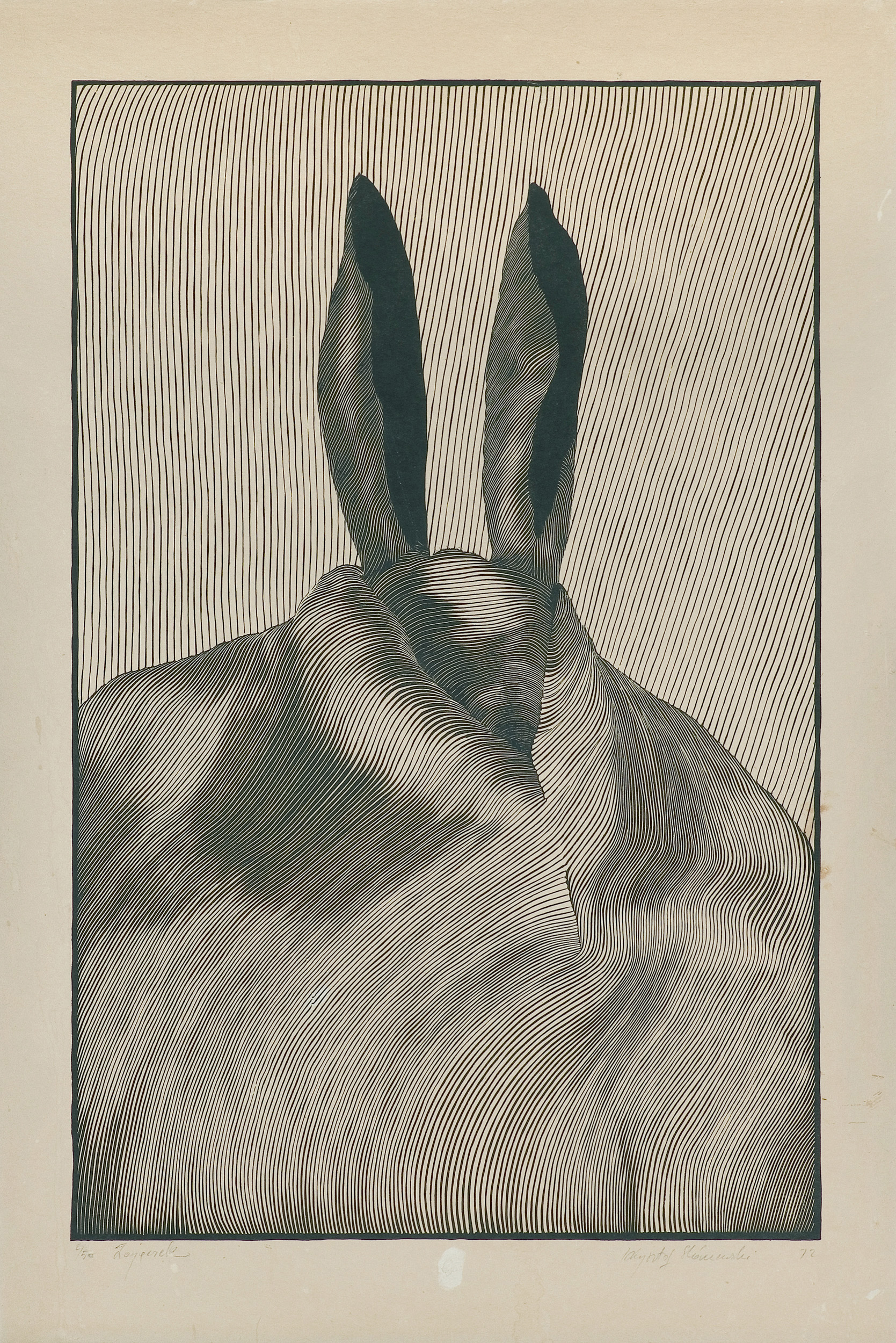 Krzysztof Witold Skórczewski, ZAJĄCZEK, 1972, linoryt, papier kremowy Krzysztof Witold Skórczewski, ZAJĄCZEK, 1972