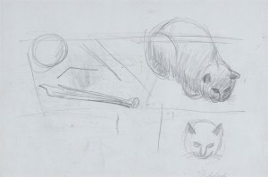 Jarosław Modzelewski, SZKIC DO OBRAZU „MARTWA NATURA Z KOTEM”, 2002
