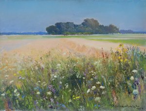 Wawrzyniec Chorembalski, LATO NA POLU, 1964