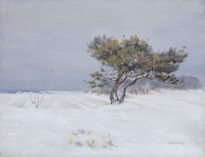 Teodor Ziomek, SOSNA W ZIMOWYM PEJZAŻU