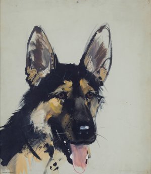 Janusz Grabiański, OWCZAREK NIEMIECKI